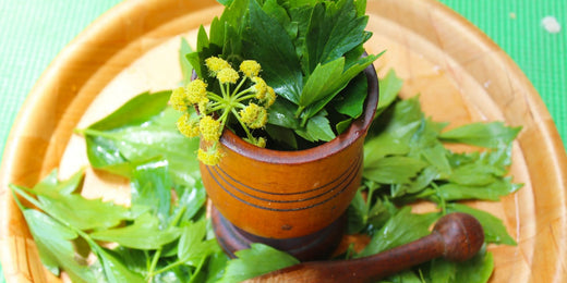 How to Grow and Use Lovage: A Complete Guide to Cultivating this Unique Herb