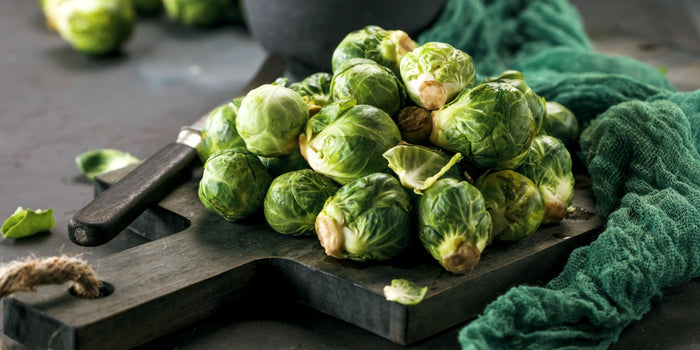 The Guide to Brussels Sprouts Companion Planting