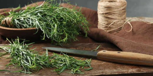 How to Grow and Care for Tarragon Plants: A Complete Guide