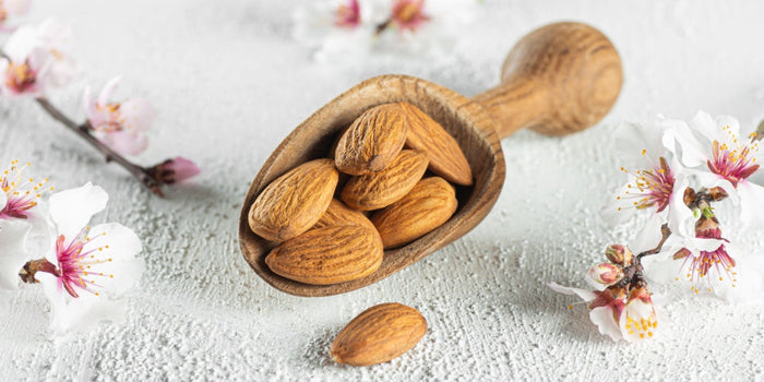 Almond Tree Care and Growth: The Complete Guide