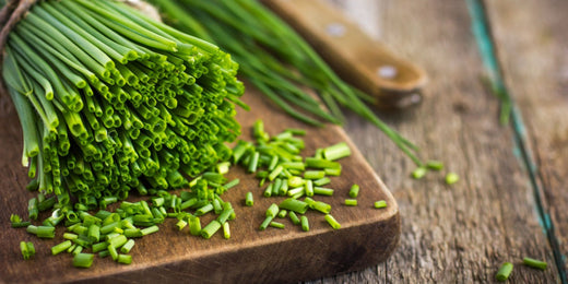 How to Grow Chive Plants: The Ultimate Guide