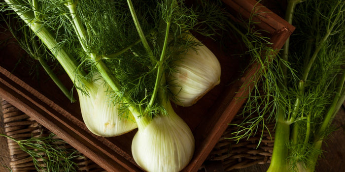 Master the Art of Growing and Cooking with Fennel