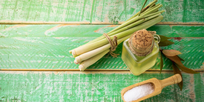 Grow, Harvest, and Cook with Lemongrass: A Complete Guide