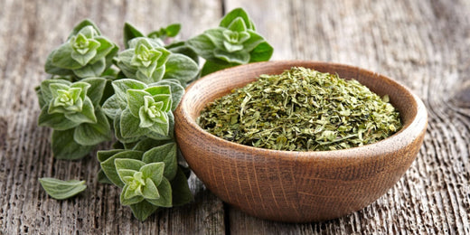 Understanding Oregano: An Overview