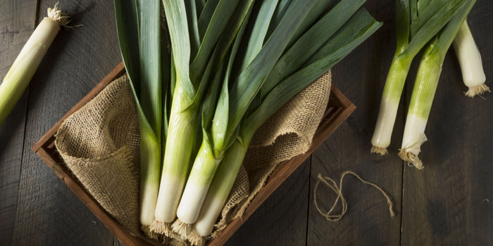 Leek Growing Essentials: Your Complete Guide