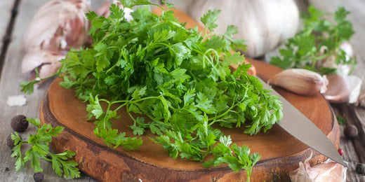 How to Grow and Use Chervil: A Complete Guide to Cultivating This Delicate Herb