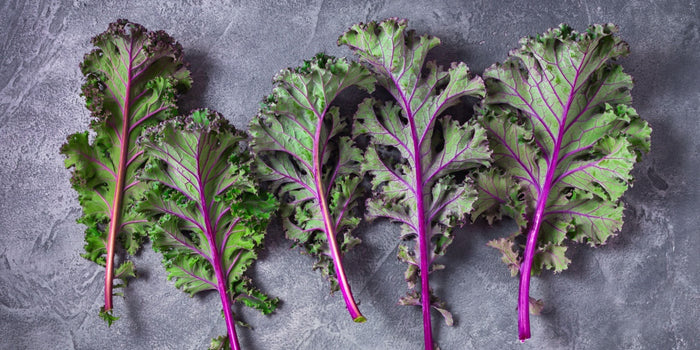 Kale Growing Essentials: Your Complete Guide