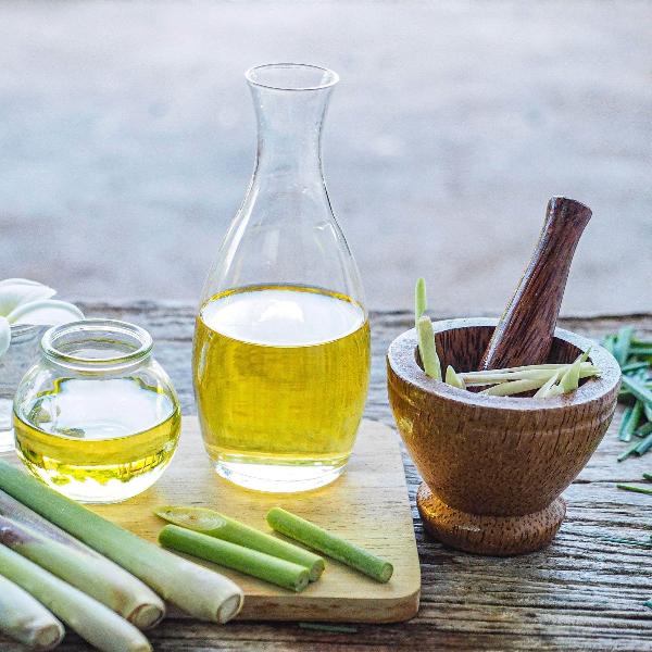 3.5 Lbs Fresh Lemongrass Stalks – Cymbopogon Herb For Cooking & Tea, Free Shipping