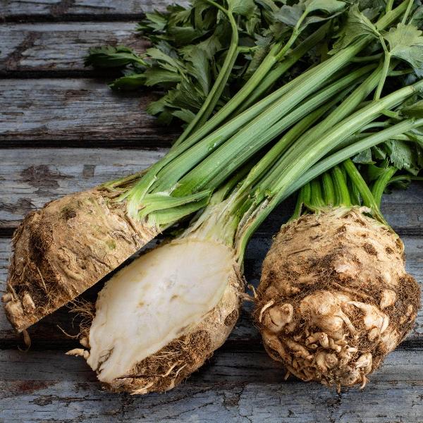 Acqua Garden Outdoor Plants Celeriac 'Brilliant'
