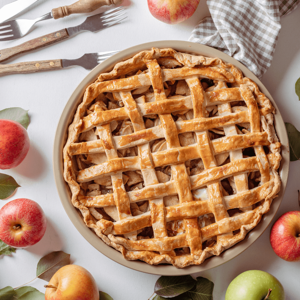 Acqua Garden Plants Apple 'Self Fertile' Cox Tree