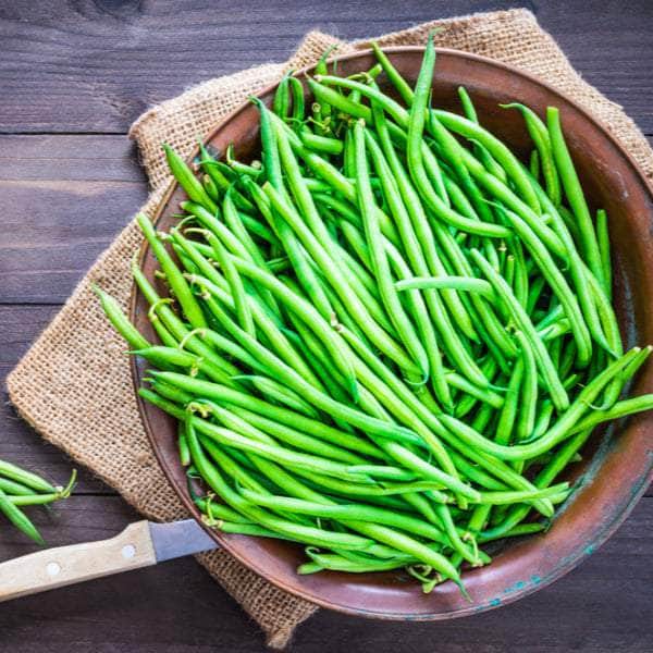 Acqua Garden Plants French Bean 'Tendergreen'