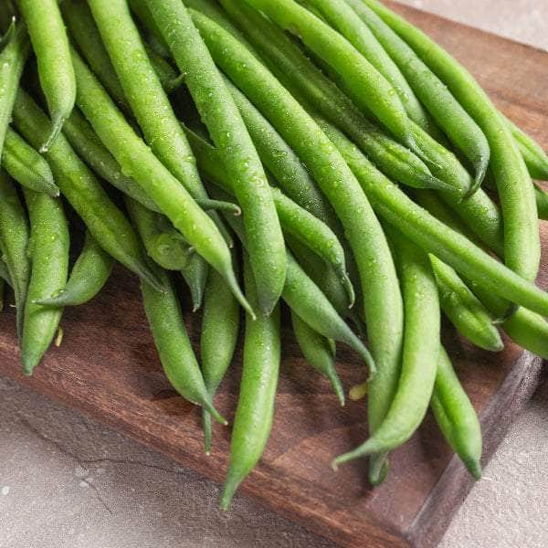 Acqua Garden Plants French Bean 'Tendergreen'