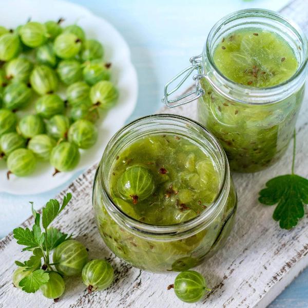 Acqua Garden Plants Gooseberry 'Careless'