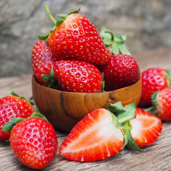 Acqua Garden Plants Strawberry 'Elegance'