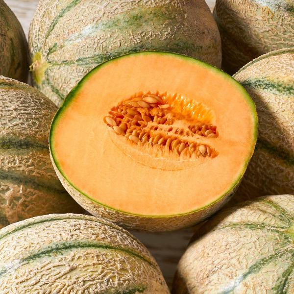 Acqua Garden Plants watermelon