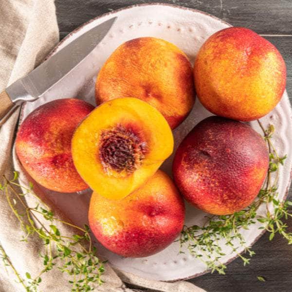 Acqua Garden Trees Nectarine 'Lord Napier' Tree