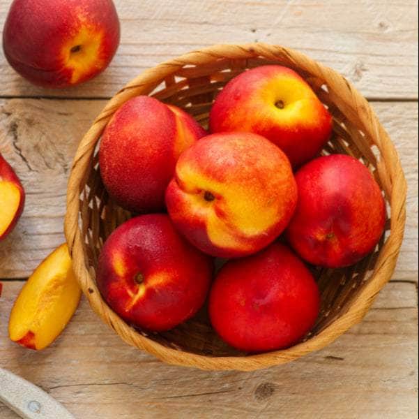 Acqua Garden Trees Nectarine 'Lord Napier' Tree