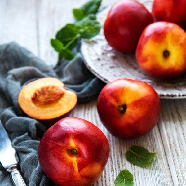 Acqua Garden Trees Nectarine 'Lord Napier' Tree