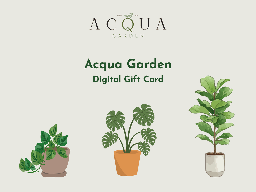 AcquaGarden Acqua Garden Digital Gift Card