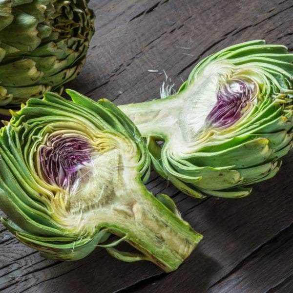 AcquaGarden Artichoke 'Green Globe'