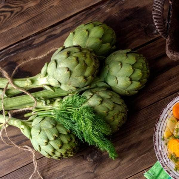 AcquaGarden Artichoke 'Green Globe'
