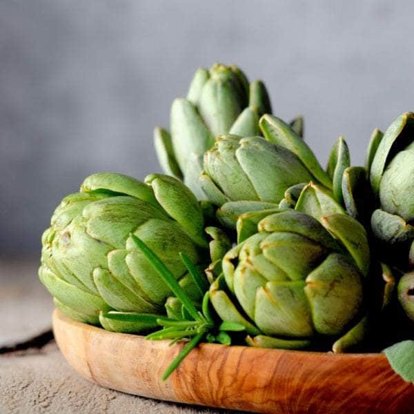 AcquaGarden Artichoke 'Green Globe'