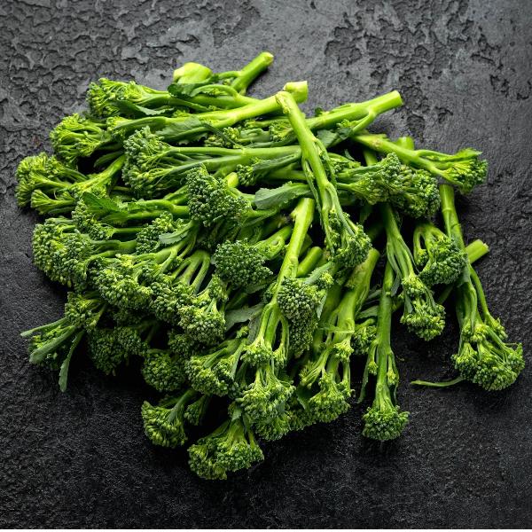 AcquaGarden Calabrese 'Slender Stem'