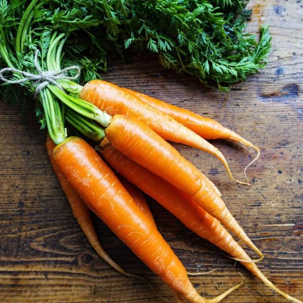 Vegetable Plants