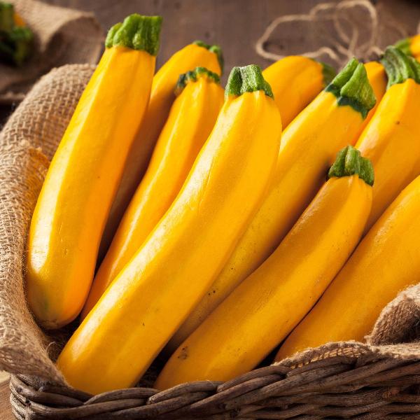 AcquaGarden Courgette 'Gold Rush'