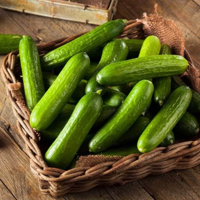Vegetable Plants