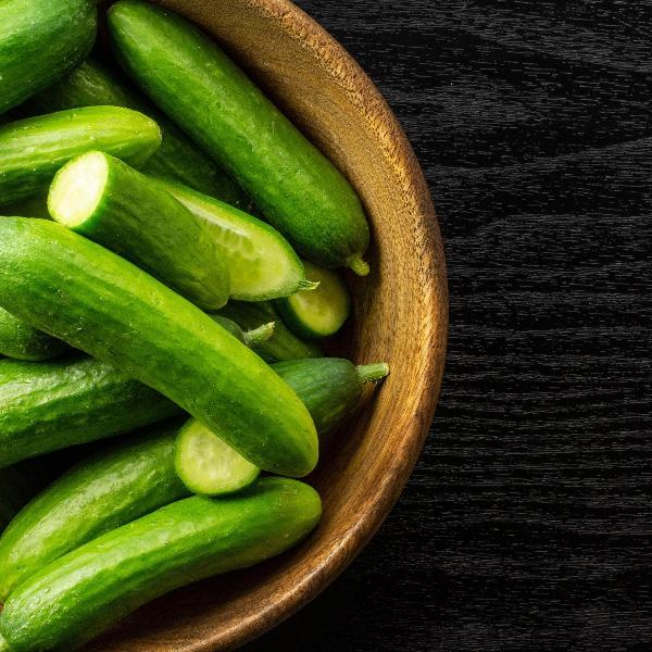 AcquaGarden Cucumber 'Ridge Burpless'