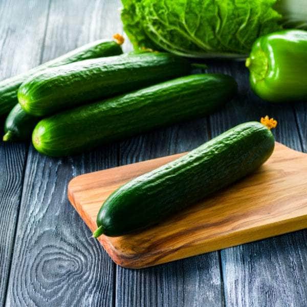 AcquaGarden Cucumber 'Tribute'