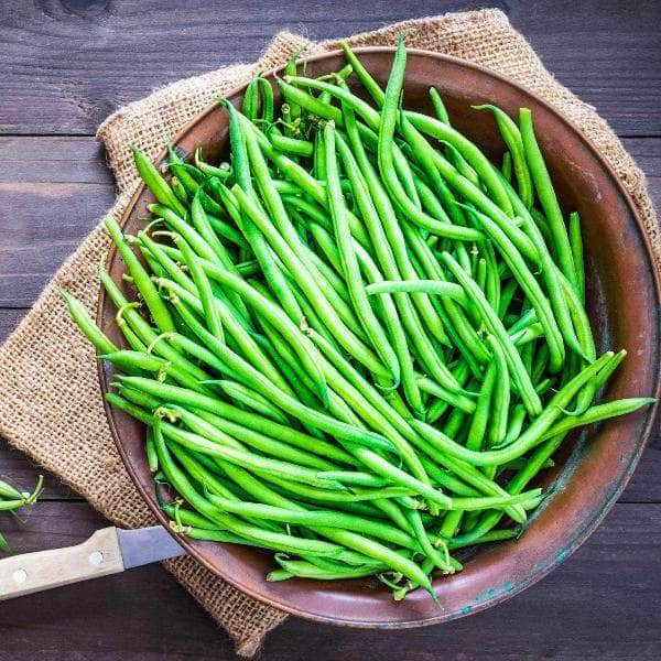 AcquaGarden French Bean 'Vibel'