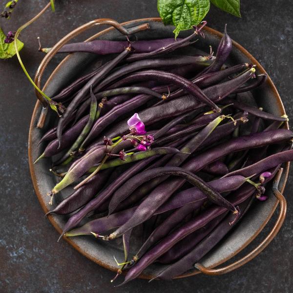 AcquaGarden French Beans 'Amethyst'