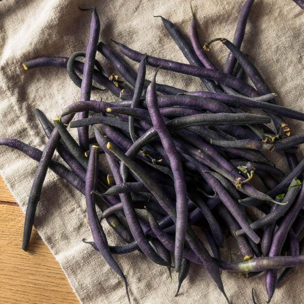 AcquaGarden French Beans 'Amethyst'