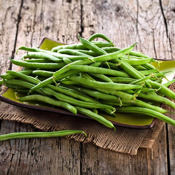 AcquaGarden French Beans 'Blue Lake'