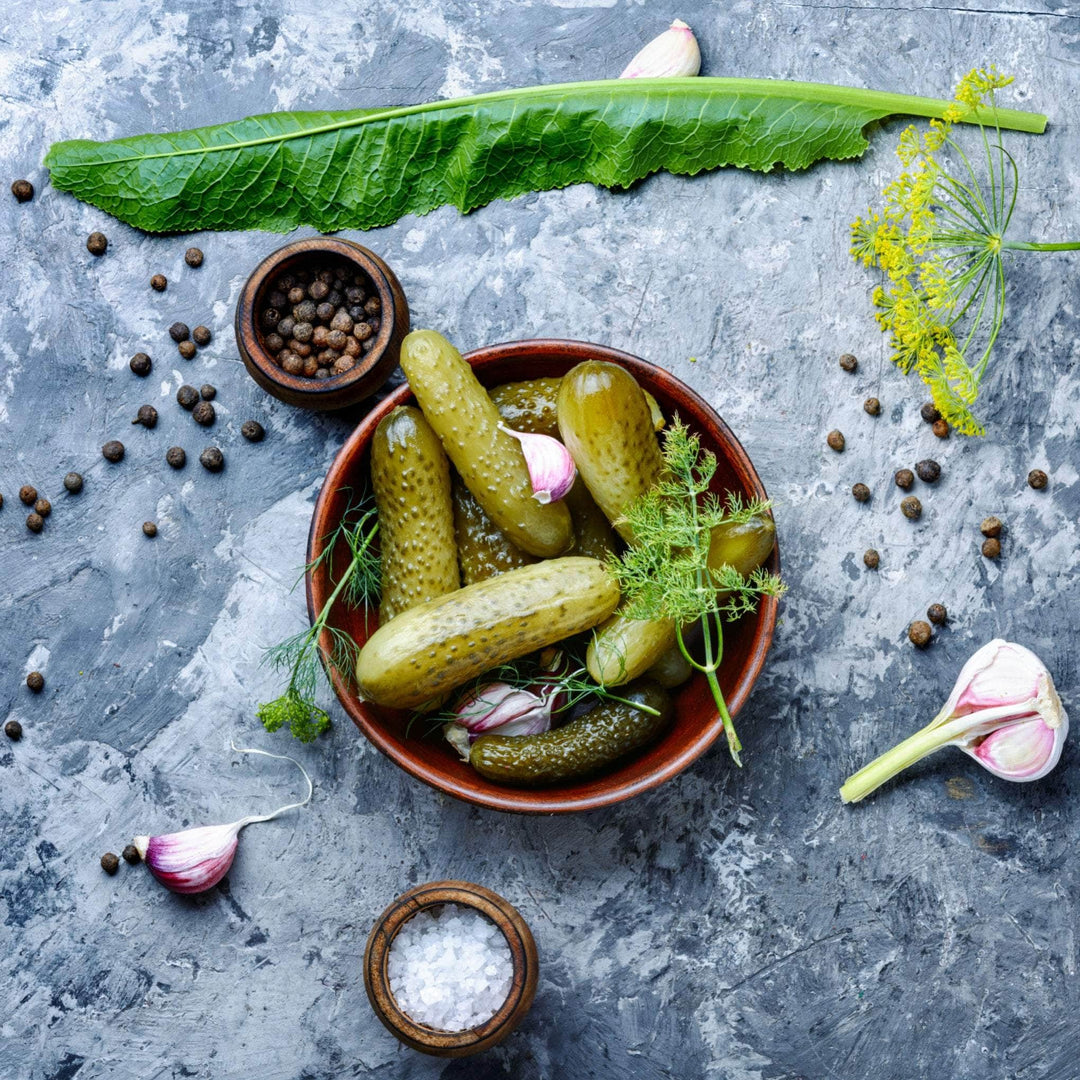 AcquaGarden Gherkin 'F1 Partner'