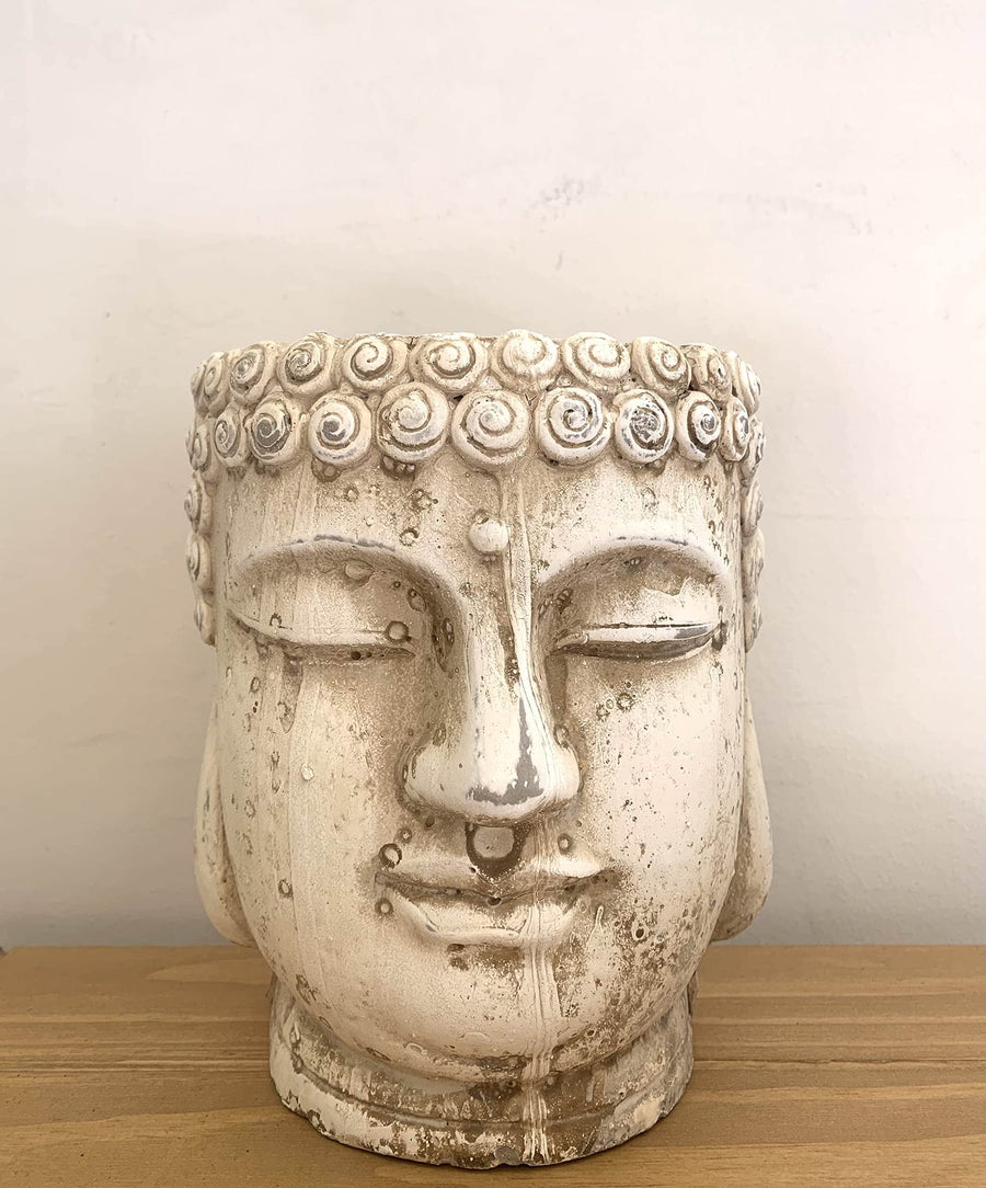 AcquaGarden Outdoor Plants Buddha Plant Pot - Small 14cm