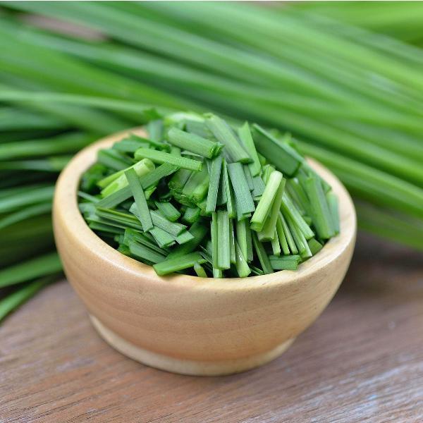 AcquaGarden Outdoor Plants Garlic Chives