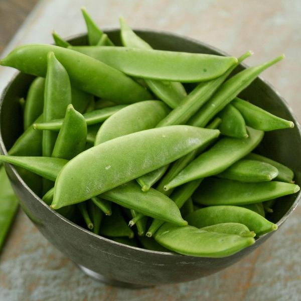 AcquaGarden Peas 'Mangetout'