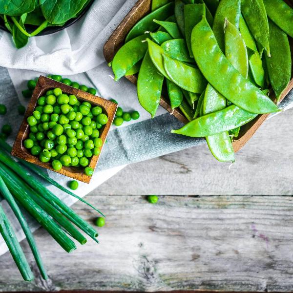 AcquaGarden Peas 'Mangetout'