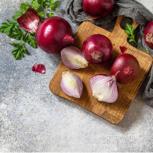 AcquaGarden Plants Allotment Mega Packs - 12 x 12 Full Packs - 144 Plants