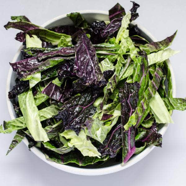 AcquaGarden Plants Cabbage 'January King'