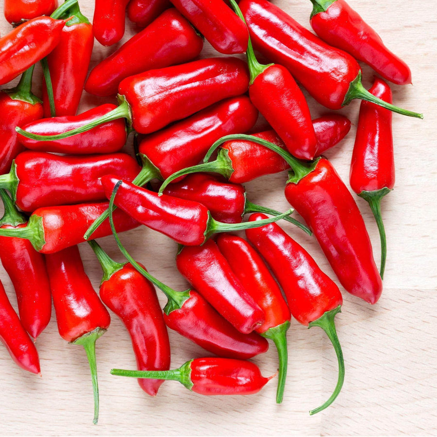 AcquaGarden Plants Chilli 'Hot Thai'