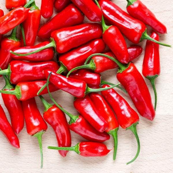 AcquaGarden Plants Chilli Plants Multi-Pack 1 – Mixed Varieties - 6 x Full Plants