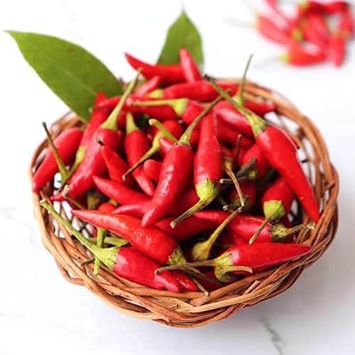 AcquaGarden Plants Chilli 'Super Chilli'