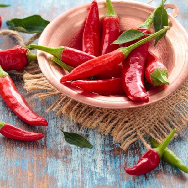 AcquaGarden Plants Chilli 'Tabasco'