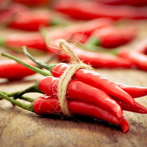 AcquaGarden Plants Chilli 'Tabasco'