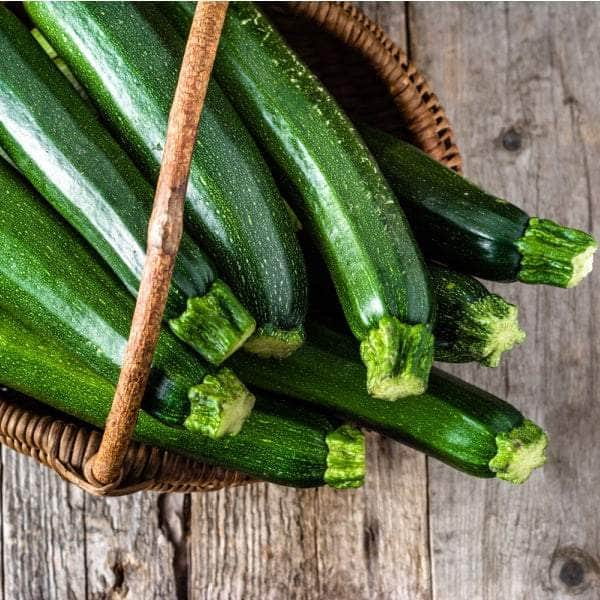 AcquaGarden Plants Courgette