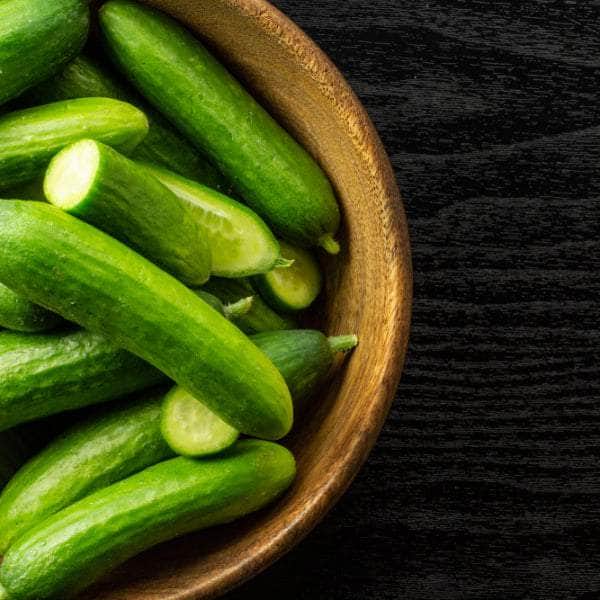 AcquaGarden Plants Cucumber 'Delistar F1'